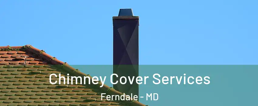  Chimney Cover Services Ferndale - MD