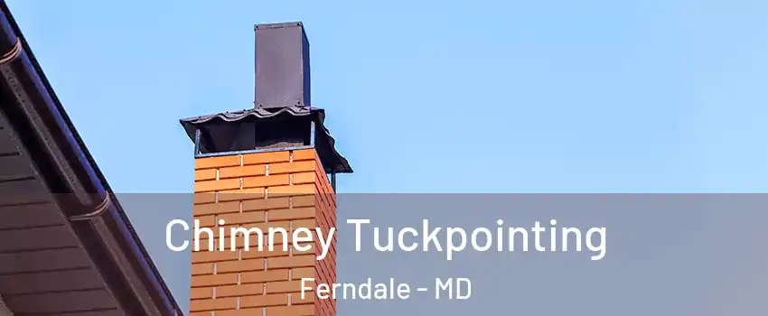  Chimney Tuckpointing Ferndale - MD