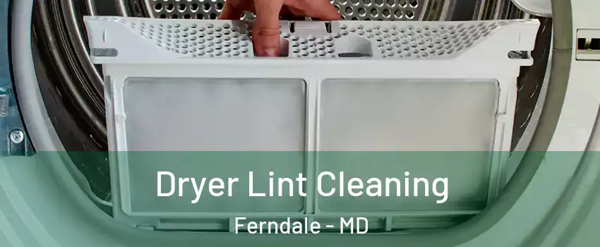  Dryer Lint Cleaning Ferndale - MD