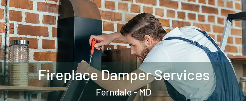  Fireplace Damper Services Ferndale - MD