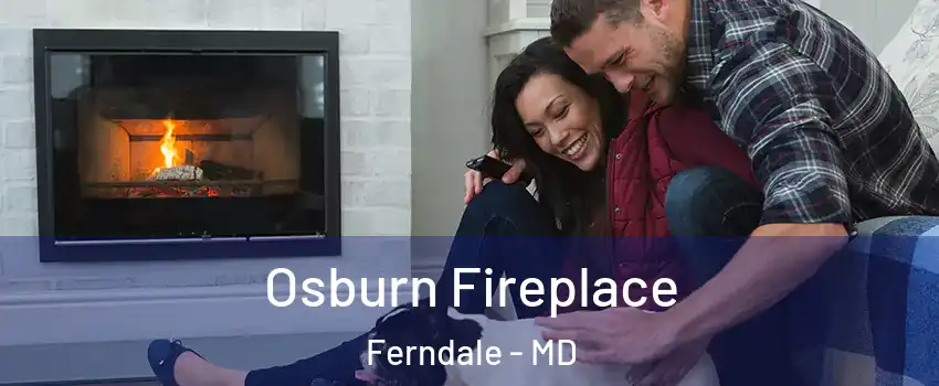  Osburn Fireplace Ferndale - MD